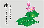 荷花