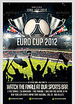 2012 欧洲杯 足球赛海报