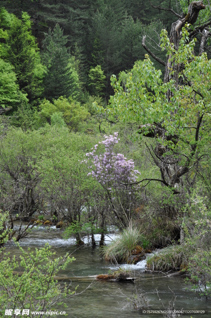 山水