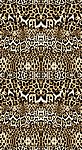 豹纹
