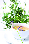 花草茶