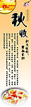 秋季养生海报