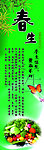 春季养生海报