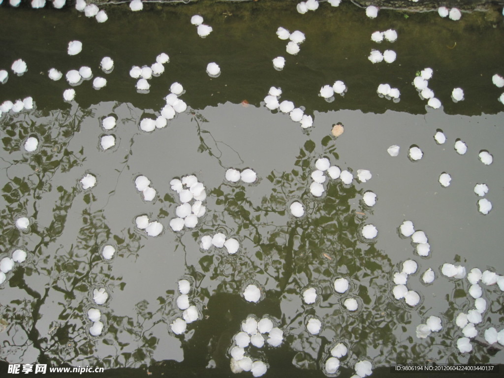 落花流水