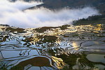 元阳梯田