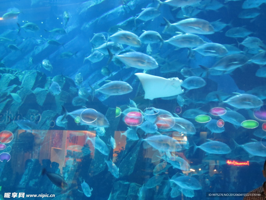 迪拜 水族馆