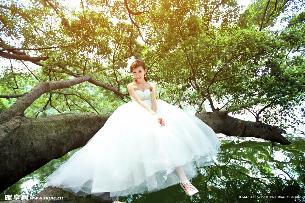 婚纱照