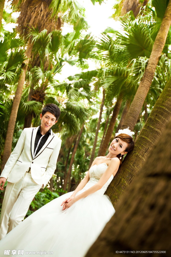 婚纱照
