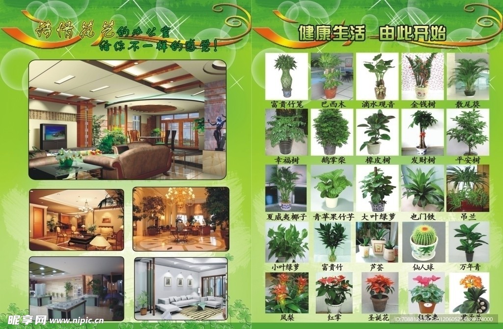 花卉