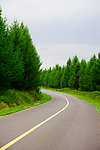 乌兰布统 公路