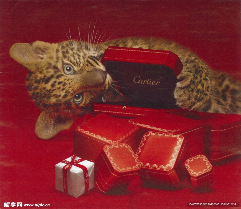 Cartier 小花豹