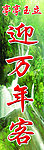 绿色植物