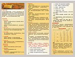 保险宣传单