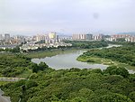 河边城市风景