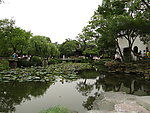 岸边树