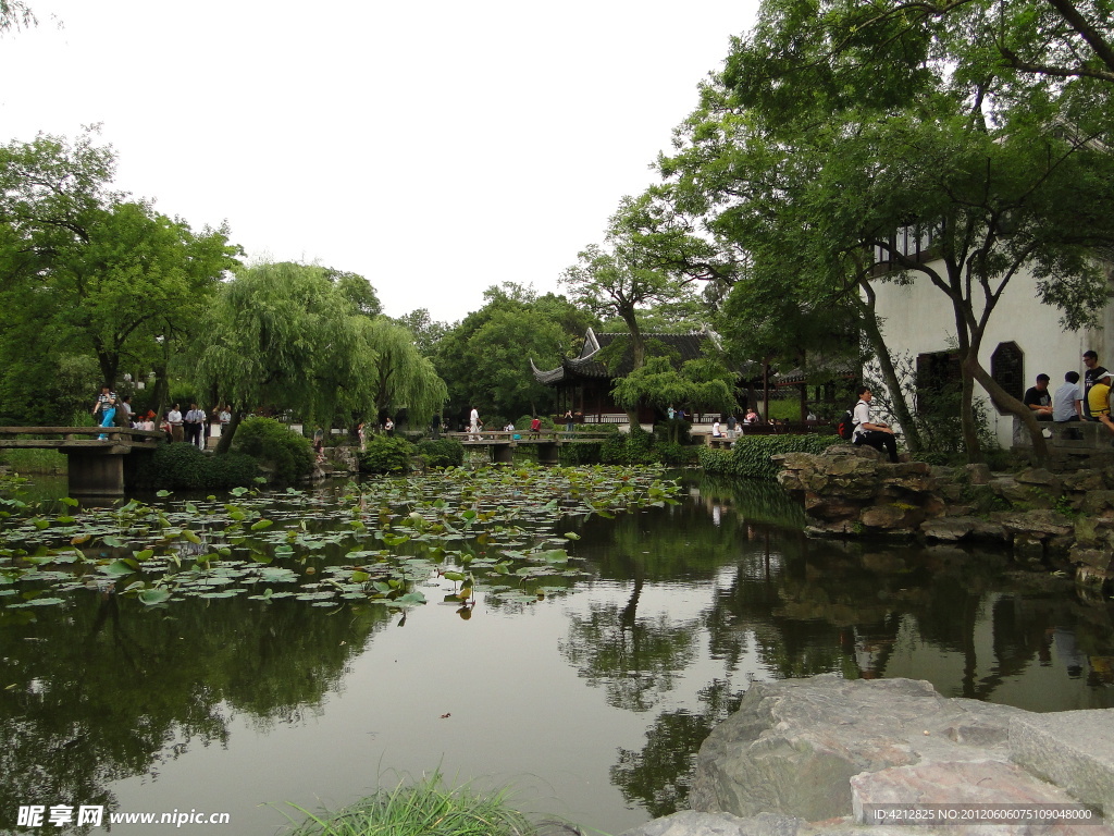 岸边树