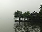 水边树