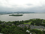 水中绿地
