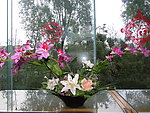 盆栽鲜花