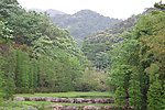 山林