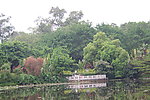 河边