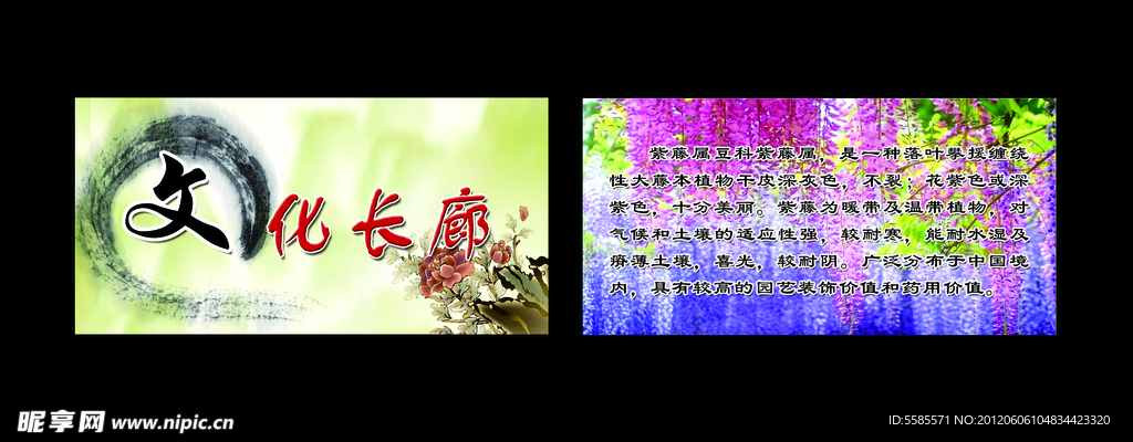 文化长廊