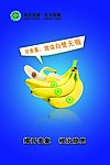 科学发展 安全发展