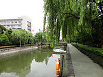 公园一角