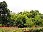 自然风景