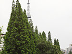 公园一角