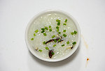 西餐 美食