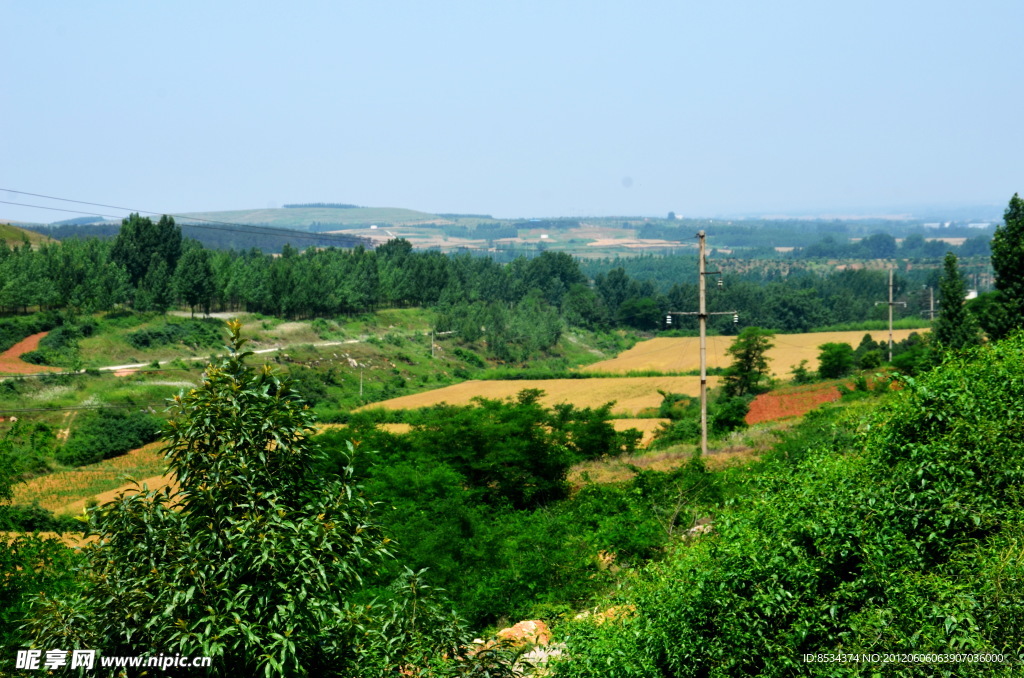 山野的土地