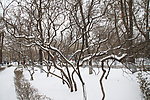 雪塑线条