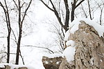 雪景