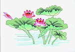 荷花荷叶