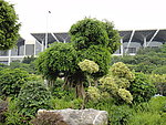 风景树