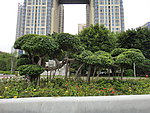 风景树