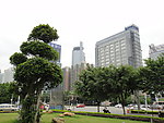 风景树