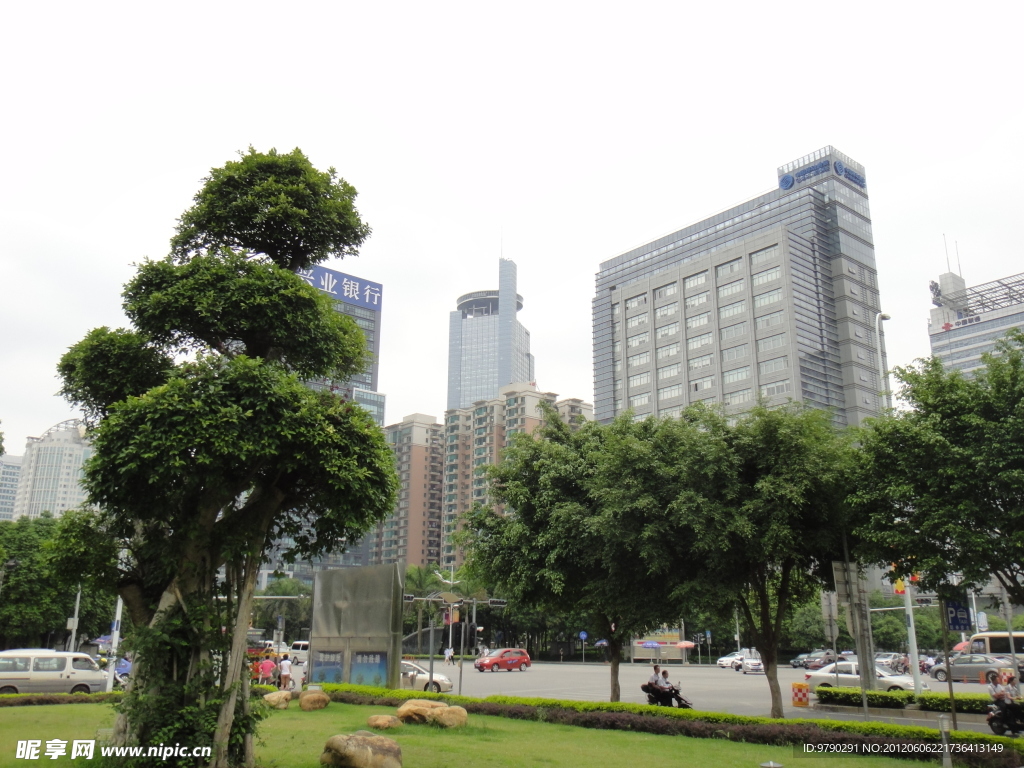 风景树