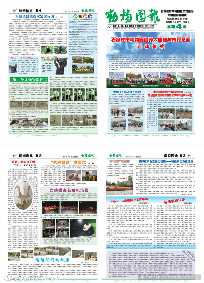报纸