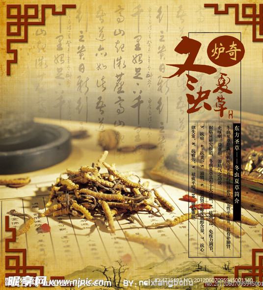 冬虫夏草