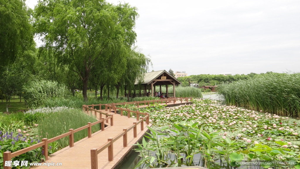 生态公园 湿地公园