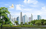 风景
