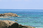 大海