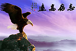 志存高远