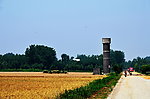 田野的麦浪
