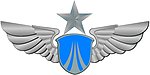 空军军徽标志