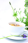 花草茶