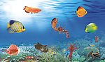 海底世界