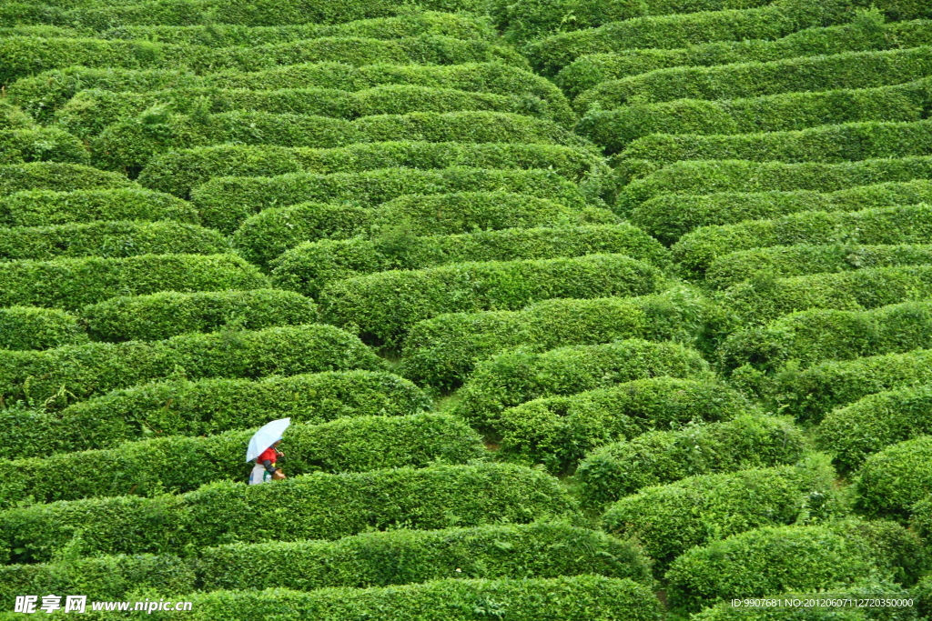 云贵旅游